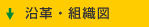 沿革・組織図