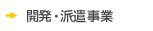 開発・派遣事業